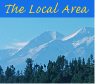 Local Area
